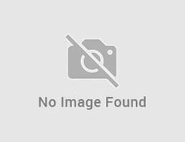 no image found